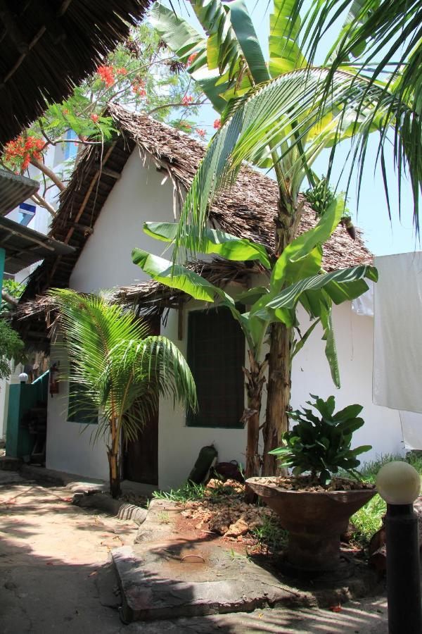 Homeland Swahili Lodge Nungwi Backpacker Apartments Budget Luaran gambar