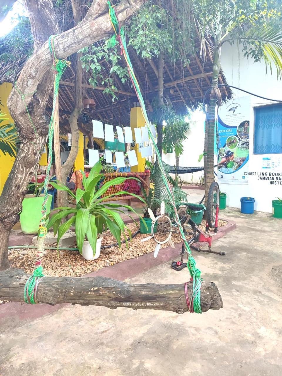 Homeland Swahili Lodge Nungwi Backpacker Apartments Budget Luaran gambar